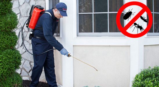 Beykoz Hamam Böceği İlaçlama böcek ilaçlama ve haşere kontrolü — ilaclama-tr.com